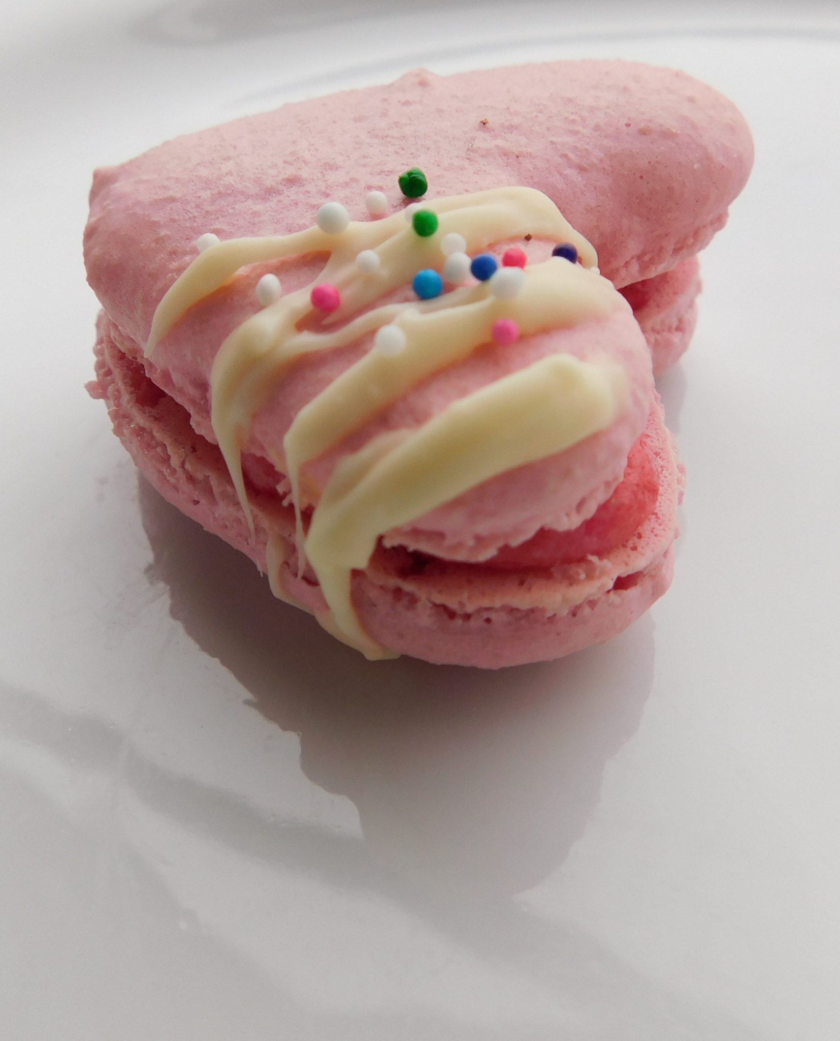 Best Pan for Macarons Kitchen Foliage