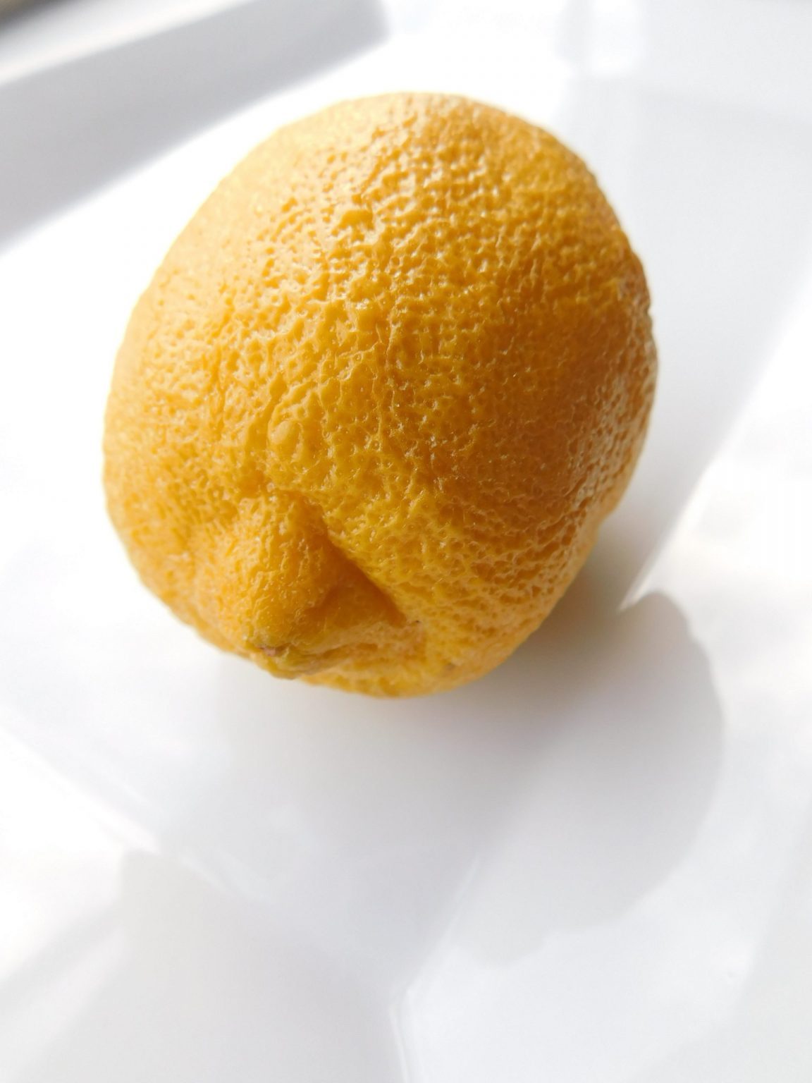 How Does Lemon Taste Kitchen Foliage