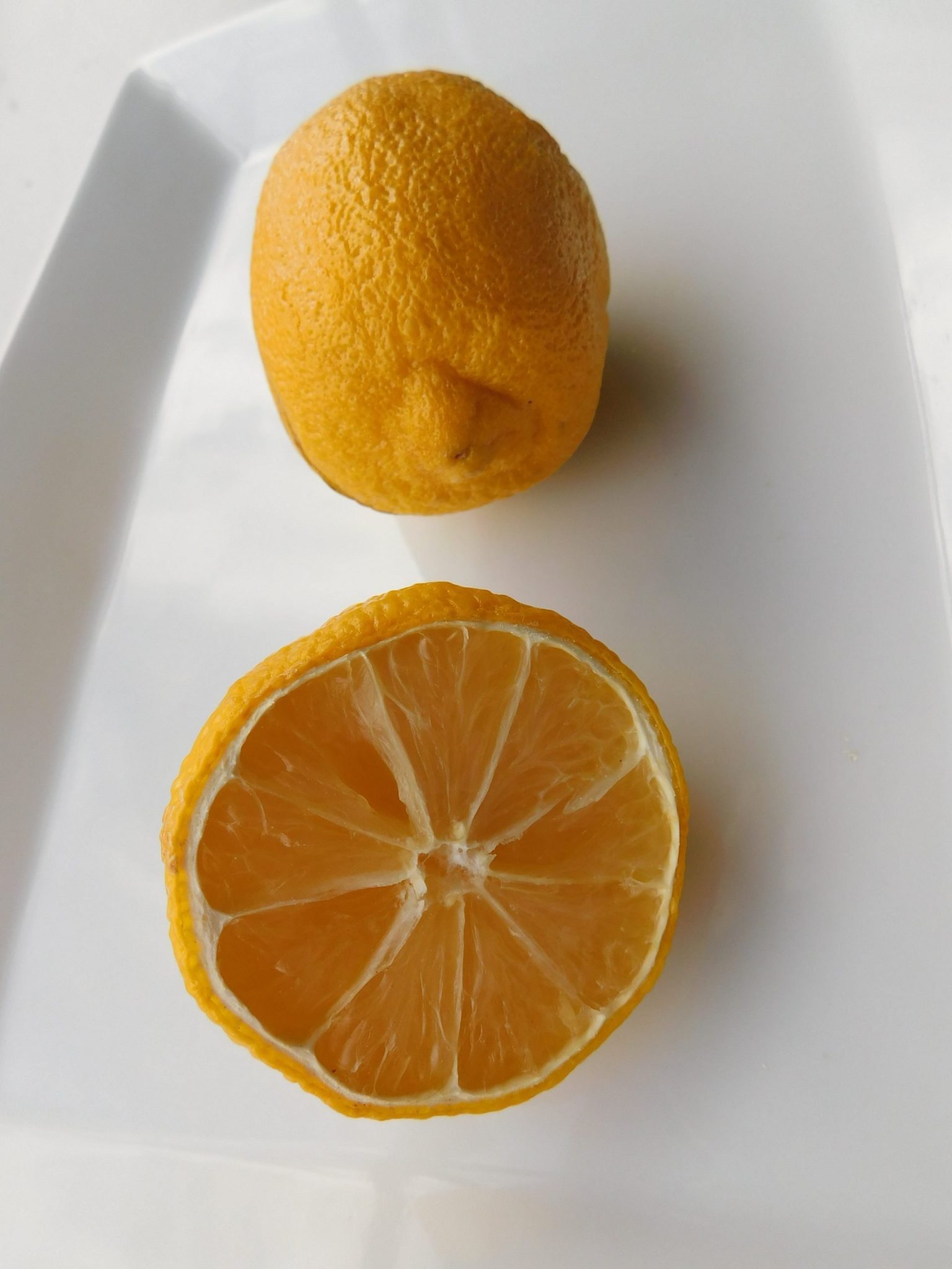 How Does Lemon Taste Kitchen Foliage