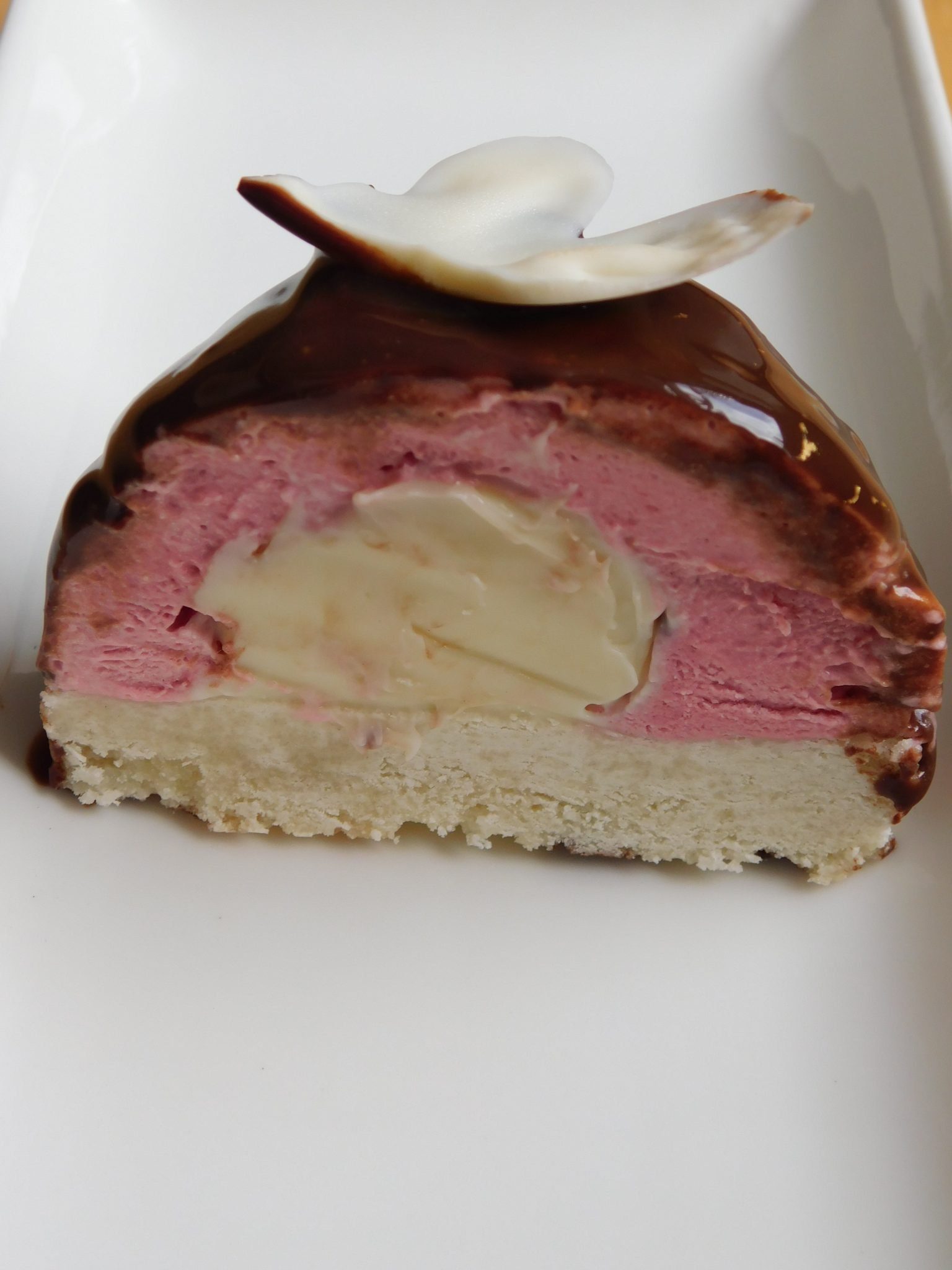 How to Make a Dome Mousse Cake Kitchen Foliage