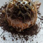 Ice Cream Dome Cake how to make an ice cream dome cake